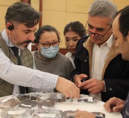 7-12 ноября г.Ташкент: тренинг по внедрению инспекционных услуг