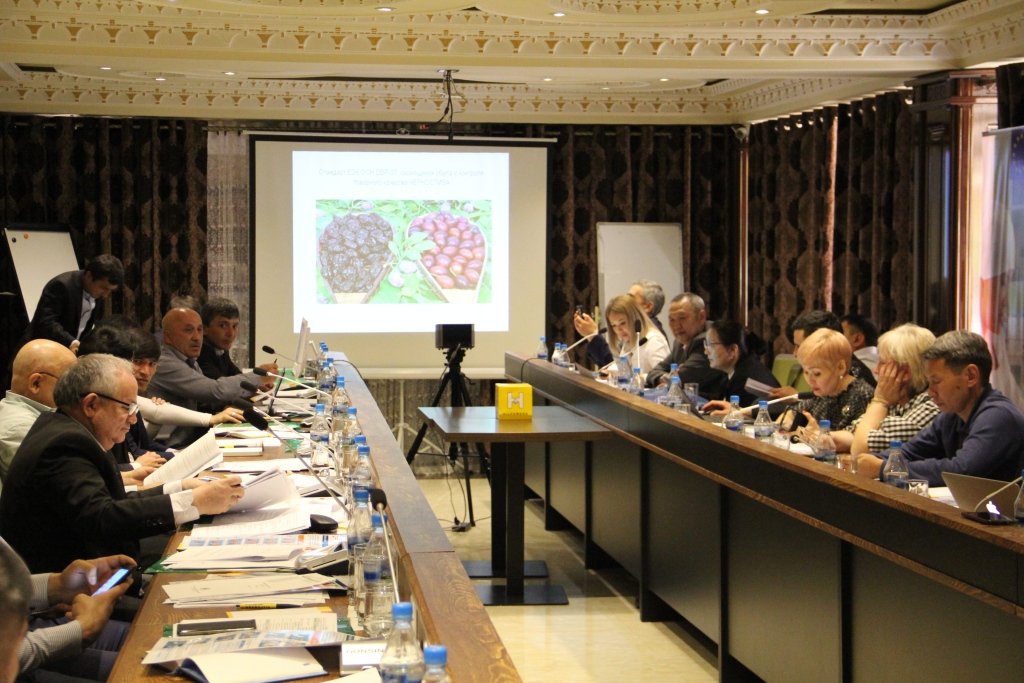 Встреча Национальных технических групп в Душанбе