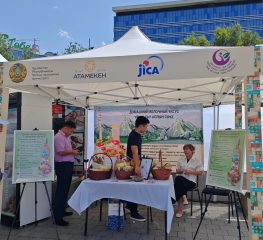 Выбор лучшего проекта «Одно село — один продукт»