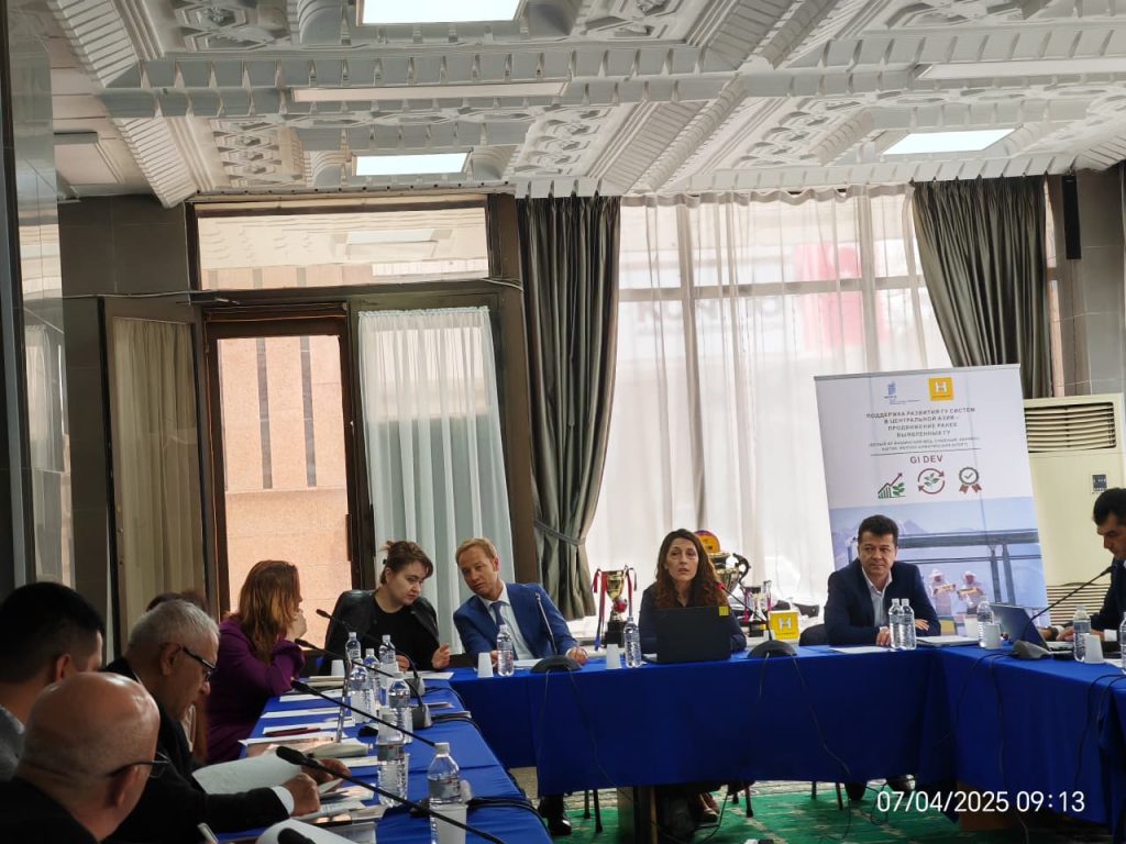 Старт проекта GI DEV «Поддержка развития ГУ систем в Центральной Азии, продвижение ранее выявленных ГУ»