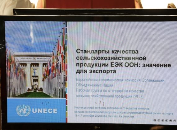 Национальная техническая группа Казахстана: итоги регионального семинара поэкспортному инспекционному контролю